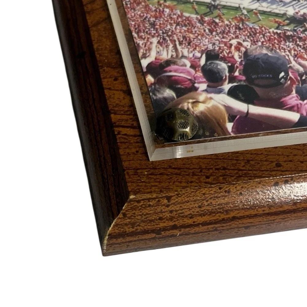 Clemson College Football Stadium Tiger Territory Wood Wall Photo Plaque Man Cave